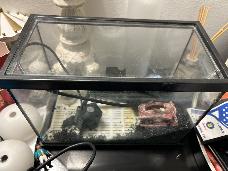 Aquario peixes agua fria