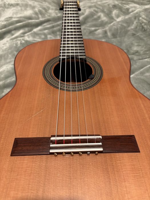 Viola de fado / paco castillo 240 adaptada