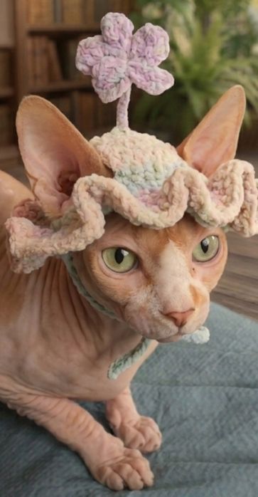 Шляпка +светр  для котика ,чі собачки ,з плюшевой пряжи