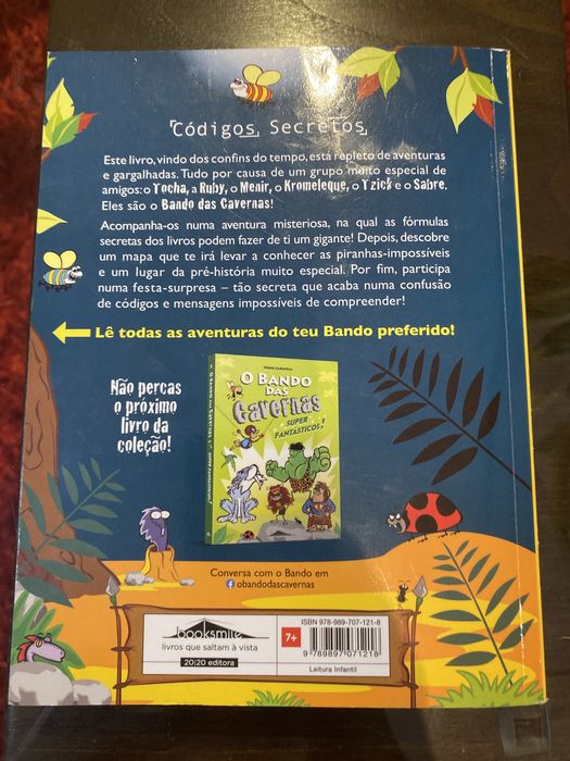 O bando das Cavernas- Códigos Secretos