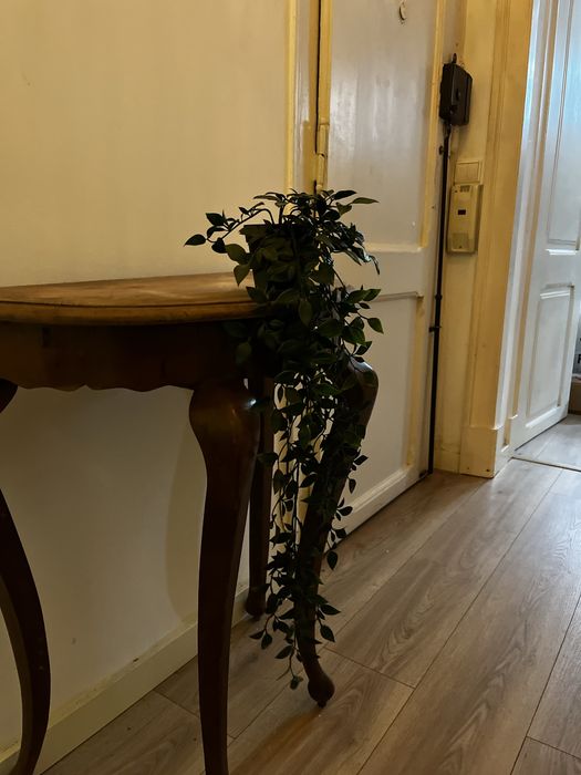 Planta de plástico trepadeira