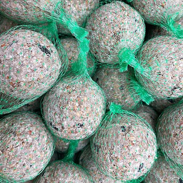 Kule zimowe tłuszczowe Karma zimowa 100 kul CHAMPI karmnik