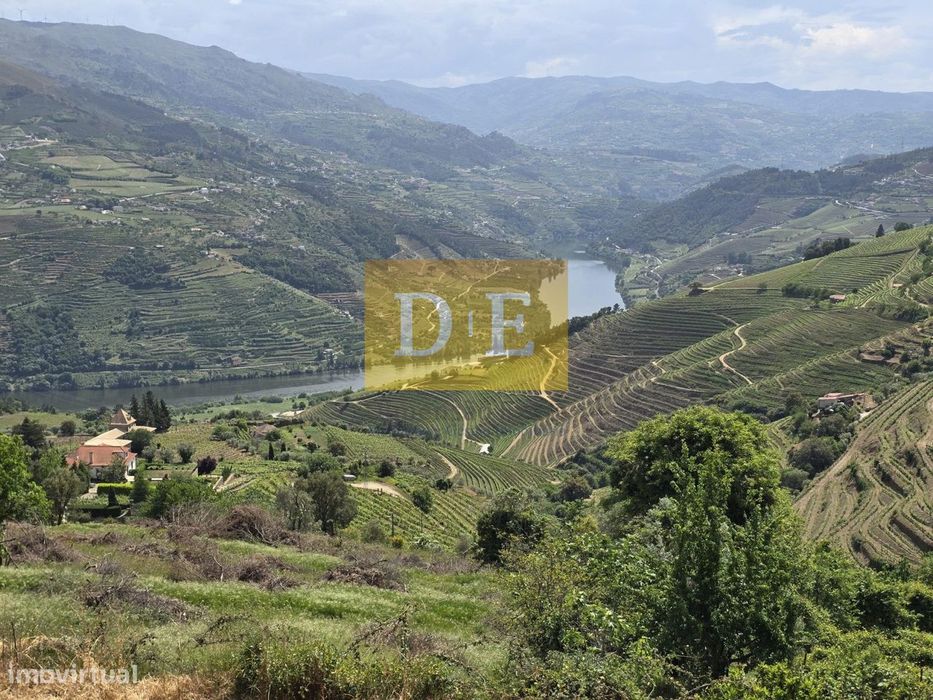 Terreno em Vila Marim com Vistas Deslumbrantes sobre o Rio Douro