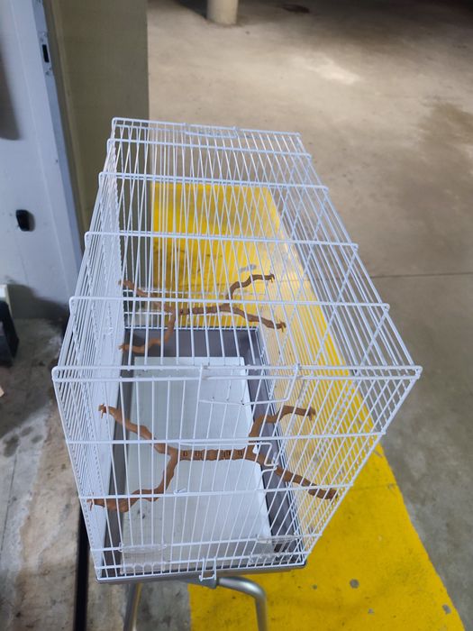 Gaiola  muito bom estado