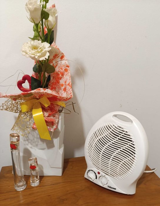 Ventilador 3 configurações: vento frio, morno e quente  Potencia 2000W