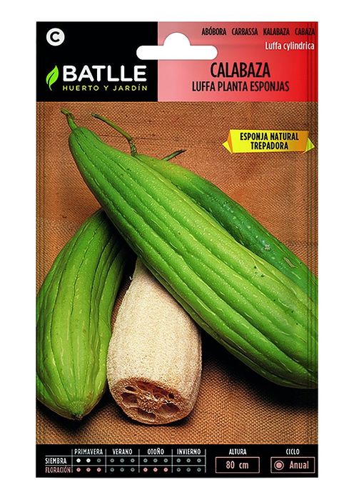 Sementes de luffa 4gr - 10 sementes