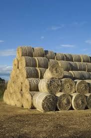 Fardos de palha pequenos e de rolo