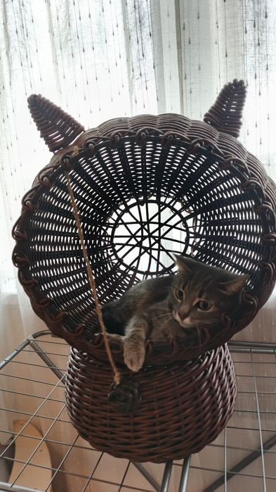 Котобудиночок з ротангу