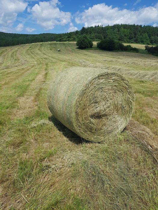 Siano dla koni baloty 120x120 Kraków z transportem