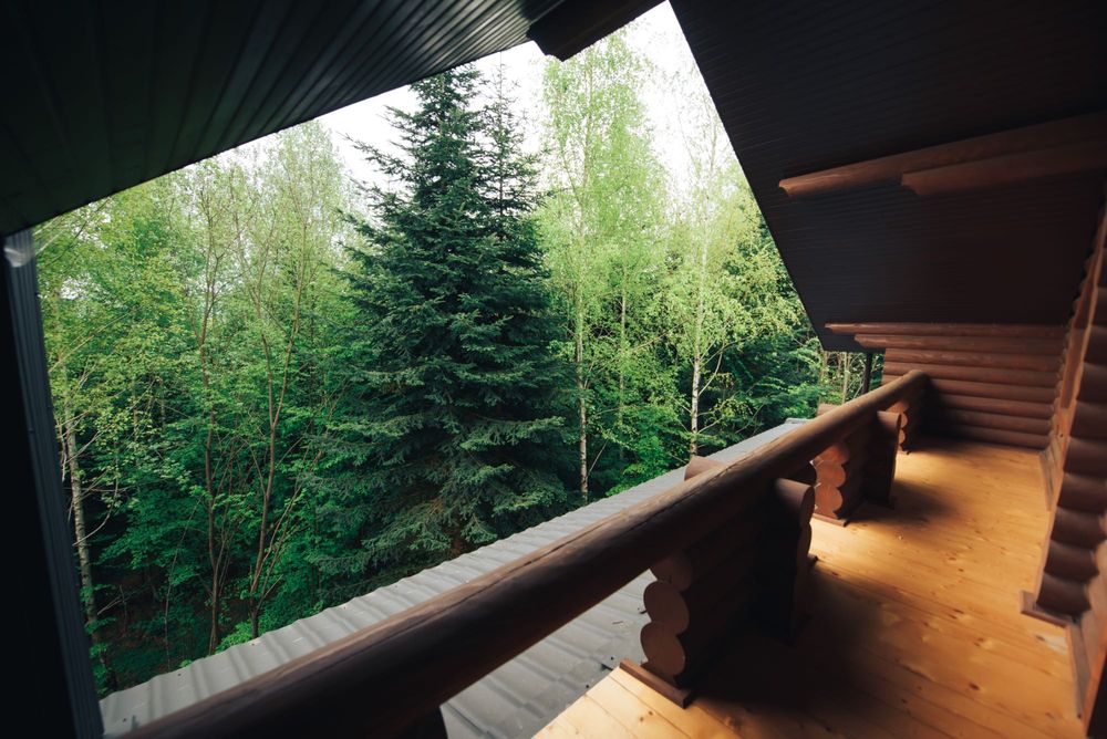 Відпочинок в Мигово | Forest Side