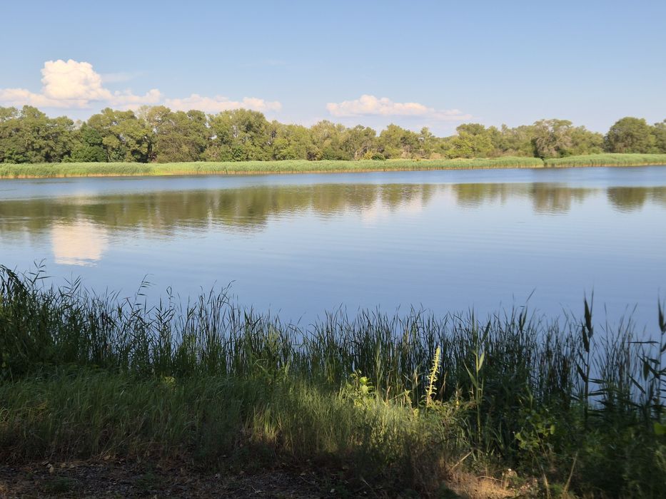 Будинок біля води перша лінія. Можливий продаж по сертифікату