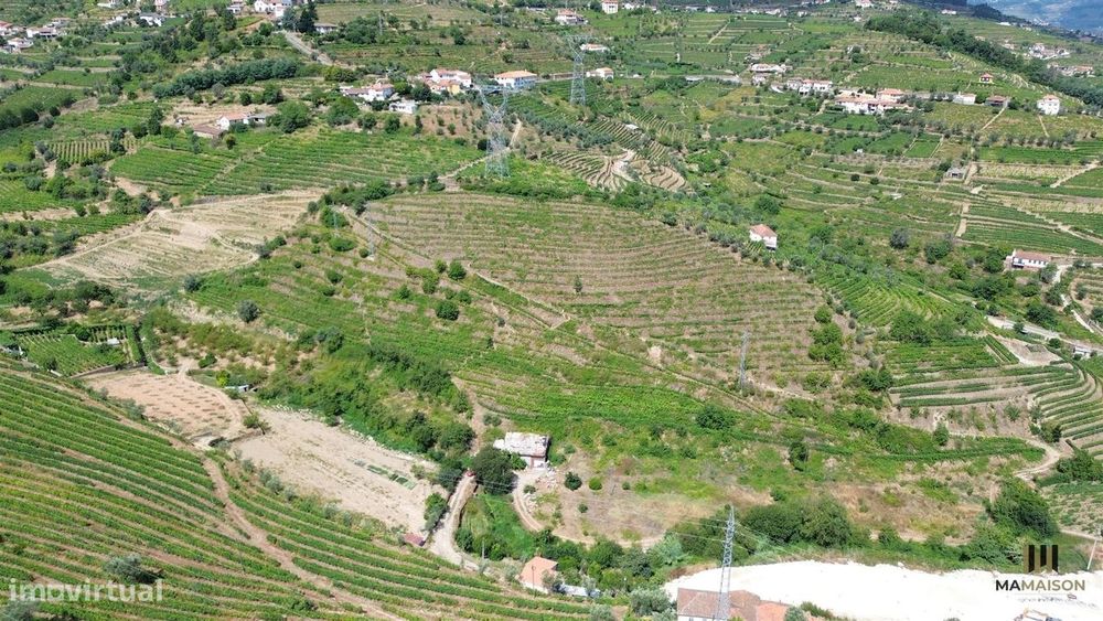 Quinta Das Lamas | + De 2 Hectares | Douro