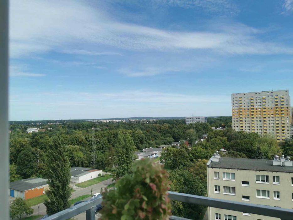 Zdjęcie 8