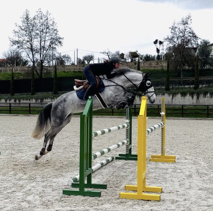 Para venda egua de obstaculos