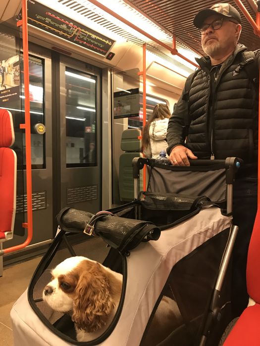 Wózek dla psa Triexie M, do 30 kg.