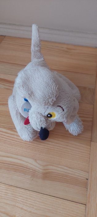 Śpiewający Nodi i pies Bumby