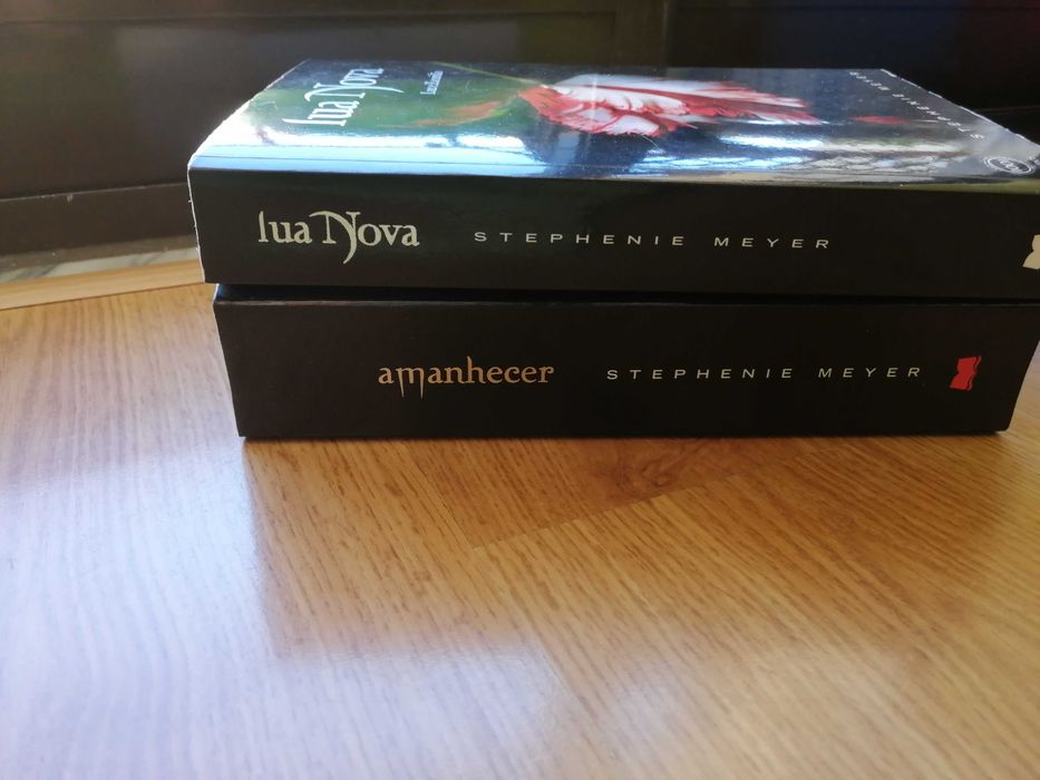 Livros Lua Nova e Amanhecer- NOVOS