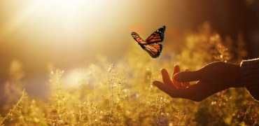 Психолог-онлайн. Верну счастье и гармонию в вашу жизнь за 3-8 сесий.