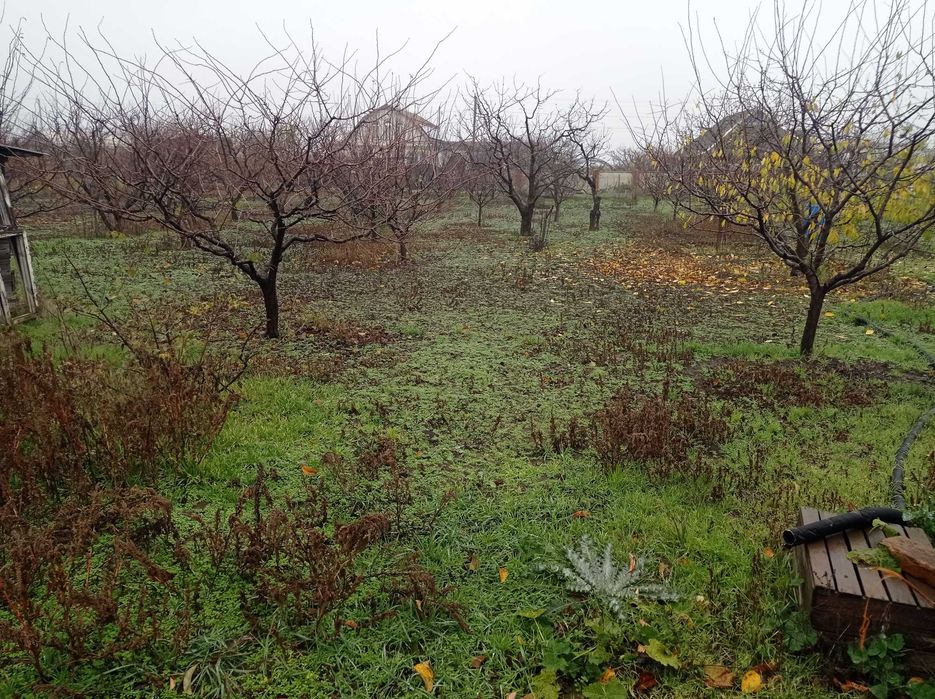 House by the address st. Rotty Ivana (area 100 m²) - Atlanta.ua - photo 14