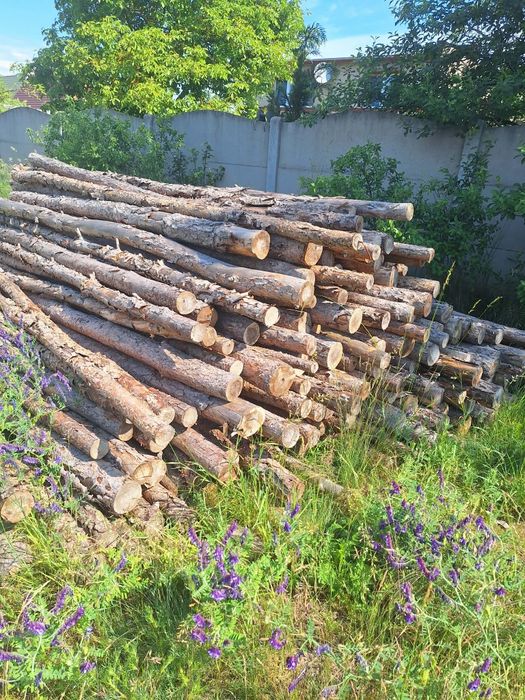 Stemple i rygi deski