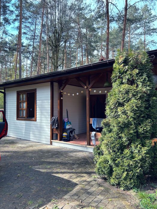 Domek letniskowy w lesie Ustronie k. Grotnik