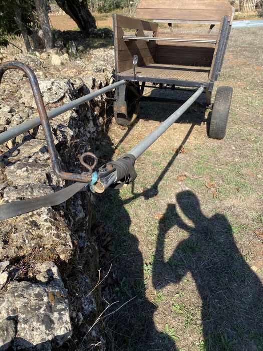 Carroça em boas condições