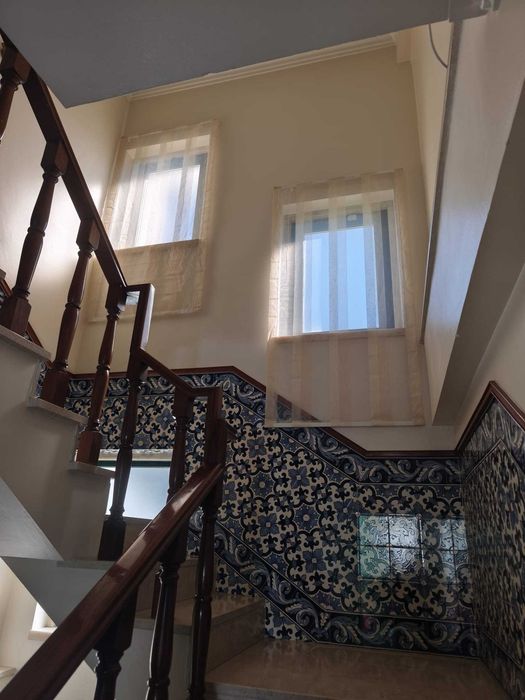 cortinados transparentes novos