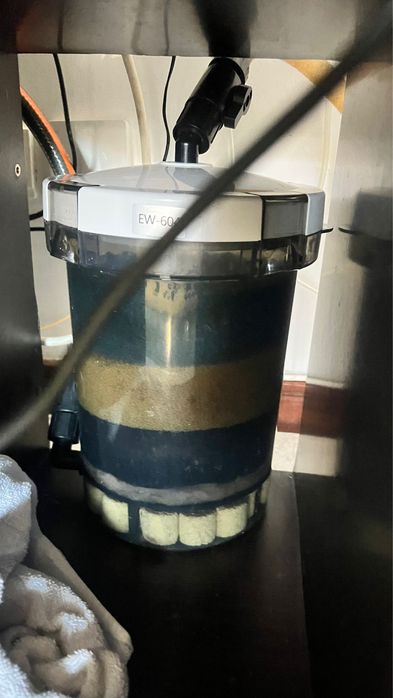 Aquario 200lt completo