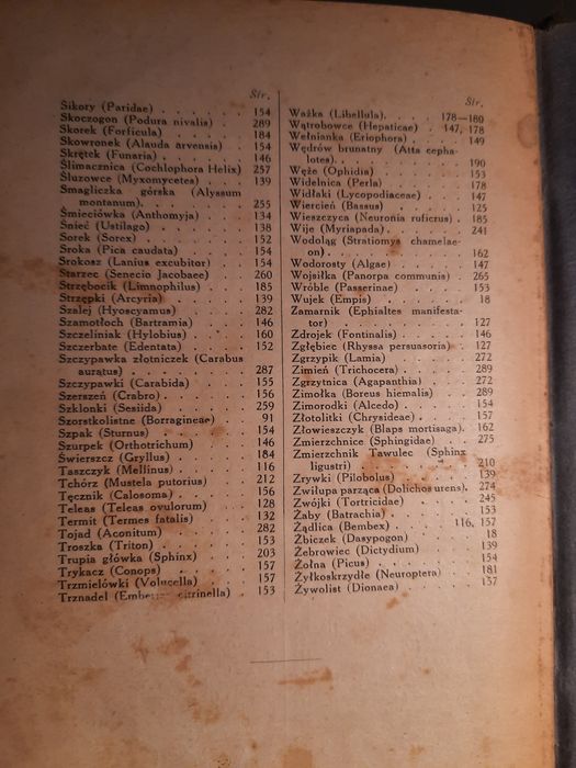 Erazm Majewski Doktor Muchołapski