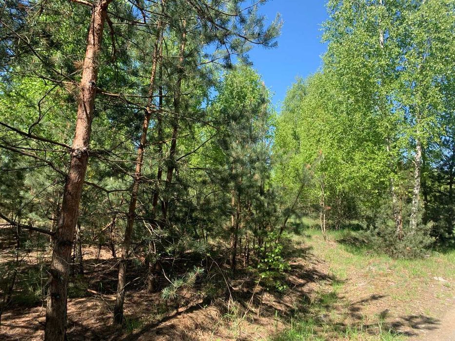 Земельна ділянка під садівництво. Здвижівка. 12 соток.