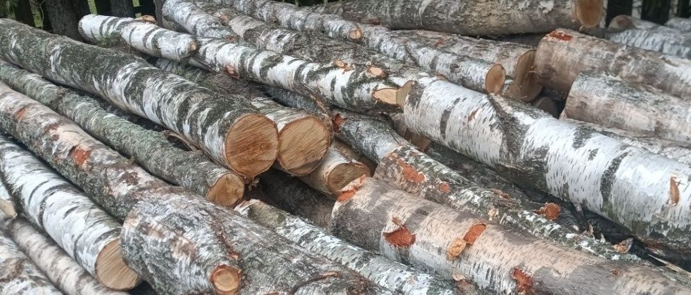 Drewno opałowe brzoza dąb