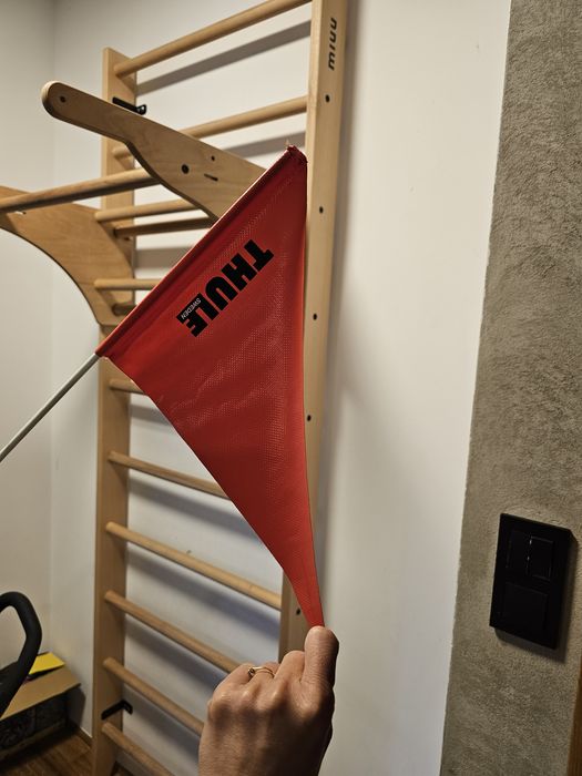 Przyczepka dwuosobowa Thule cab 2