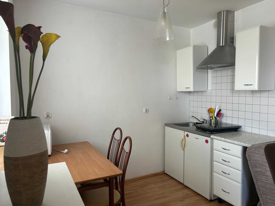 Na wynajem: Komfortowa kawalerka blisko centrum z balkonem - Widok 5