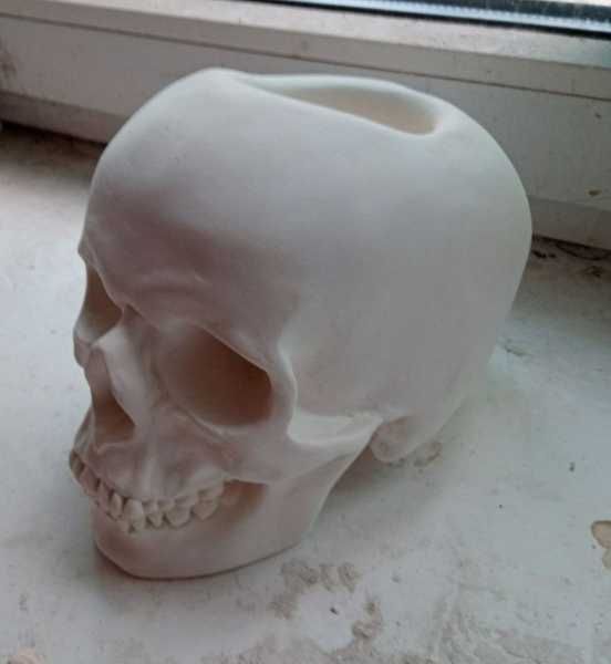 Кашпо, череп человека, человеческий череп, пенал, подставка для ручек