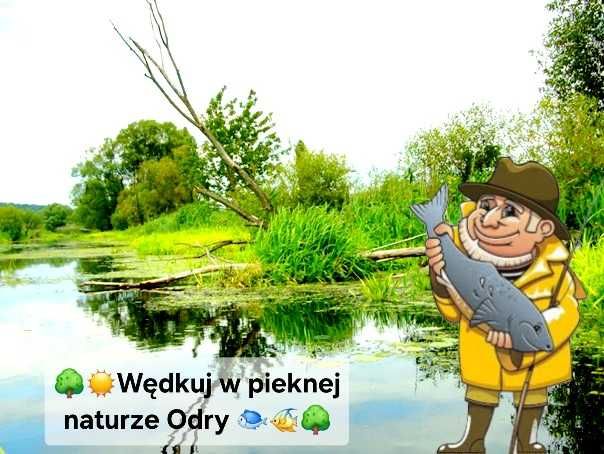 Noclegi pracownicze Hostel Gryfino Dolna Odra, kwatery- pokoje wynajem