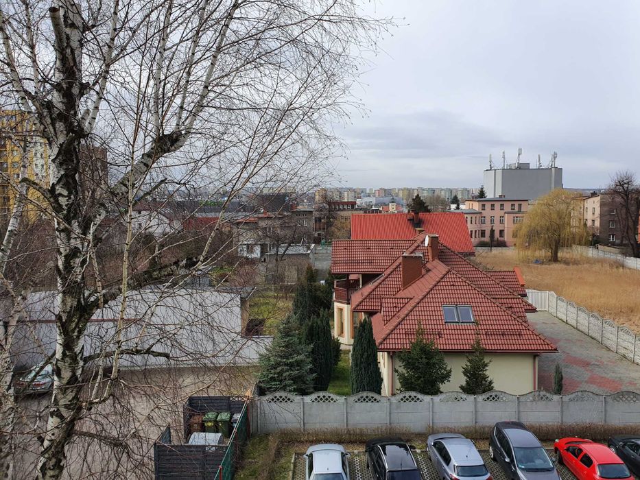 Zdjęcie 8