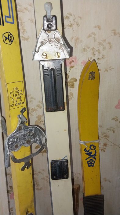 Лижі дорослі та дитячі