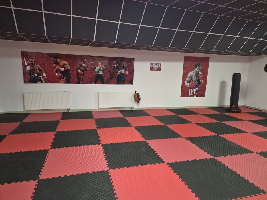 Wynajmę salę pod trening