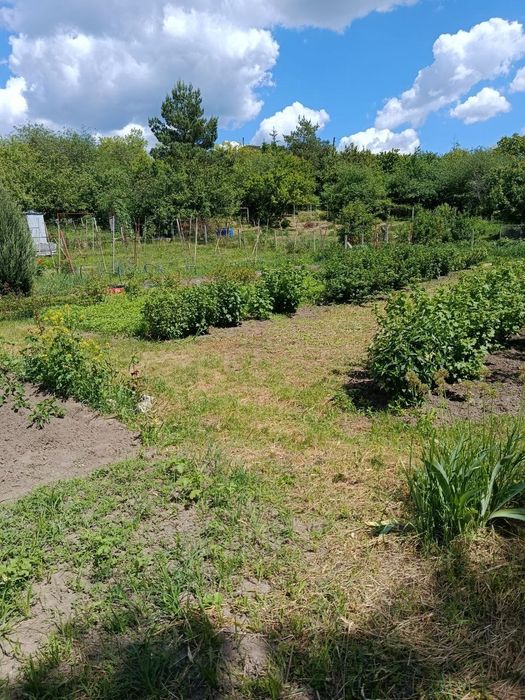 Продам будинок з земельною ділянкою ст Рябіна, с. Ст. Безрадичі