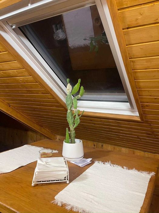 T 0  em aguas furtadas