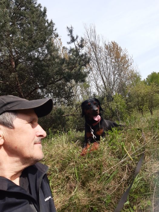 Śliczny piesek  Ami do adopcji że schroniska.