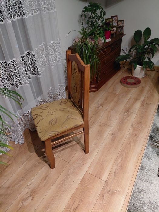 Sprzedam 10 krzeseł