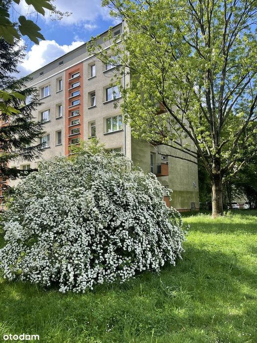 Nowa Huta mieszkanie na wynajem Osiedle Spoldziel.