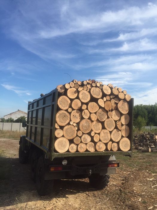 Дрова дуб, сосна , розница, опт, безнал, ФОП,  2500-3000грн/скл