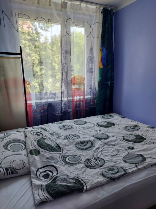 Zdjęcie 3