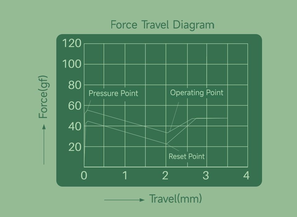 Akko Cilantro 90 sztuk