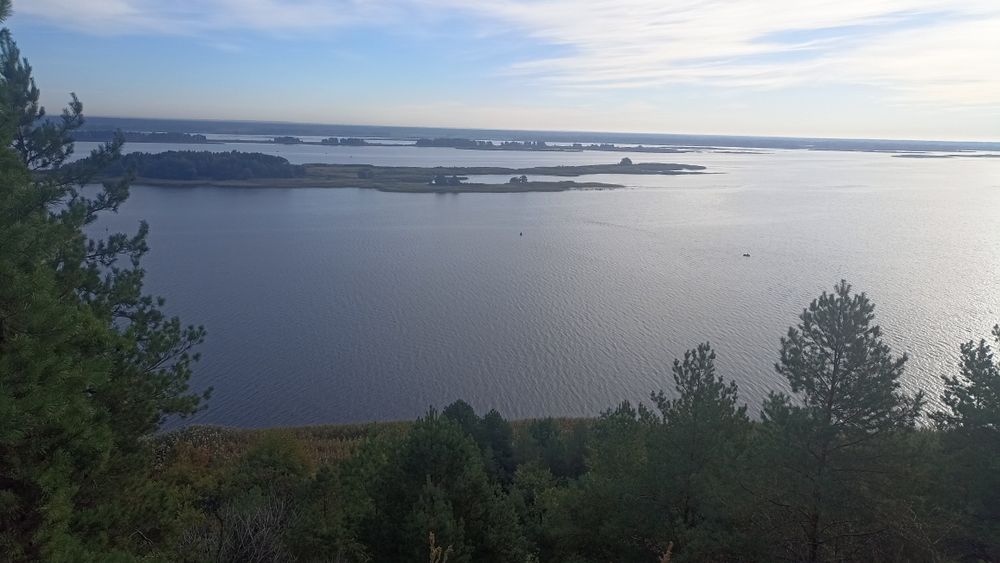 Витачів! 18.4 сот РІВНОЇ землі (АСФАЛЬТ). Будинок, Електрика, 5 хв до