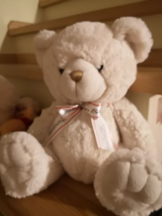 Pluszaki, misie różnej wielkości