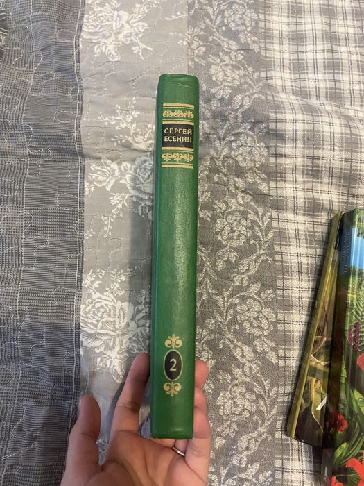 Книга Сергей Есенин  2 том