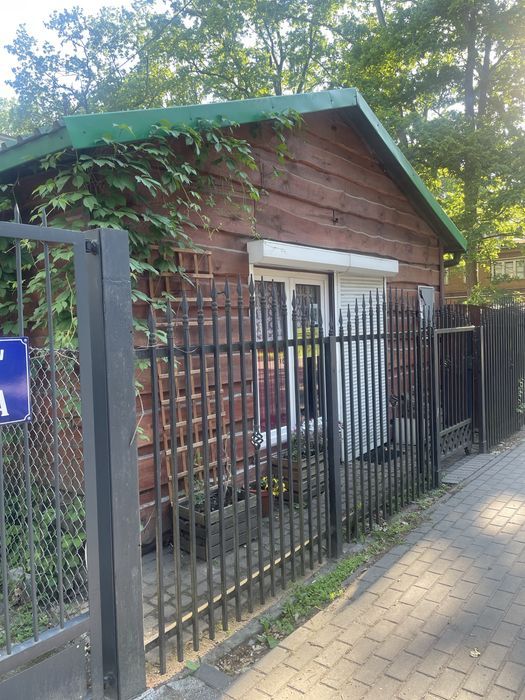 Lokal do wynajecia